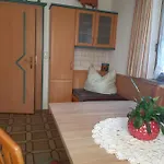 Haus Bergfrieden شقة غيرلوسبيرغ